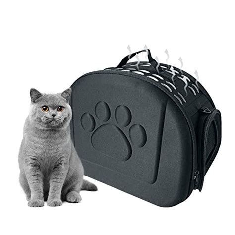 Offerta Trasportino Gatto 7 Kg Recensioni Consigli Su Come Scegliere