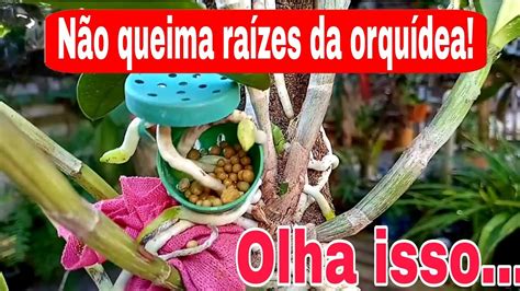 UM SUPER ADUBO PRA SUAS ORQUÍDEAS OSMOCOTE COMPROVANDO QUE ELE NÃO