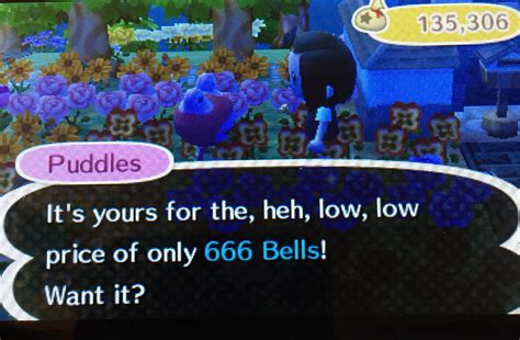 Excuse me, Puddles? : r/AnimalCrossing