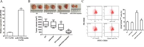 Mir 519d Impedes Cisplatin Resistance In Breast Cancer Stem Cells By