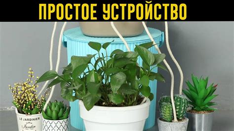 Автополив для Огорода и Комнатных Растений Своими Руками! - YouTube