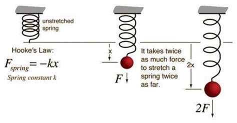 Schematic Diagrams Of Apparatus Hooke S Law Hooke S Law Appa