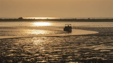 6 Cose Da Vedere Nel Delta Del Po Un Esperienza Indimenticabile