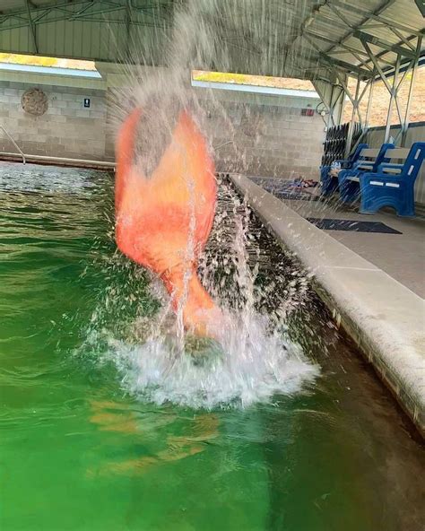 Crosslyn Mermaid On Instagram Tail Splash” I 2024
