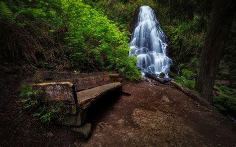 Wallpaper Sunlight Trees Forest Waterfall Rock Nature Green