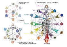 25 ideas de Toroide humano espiritualidad chakras meditación chacra