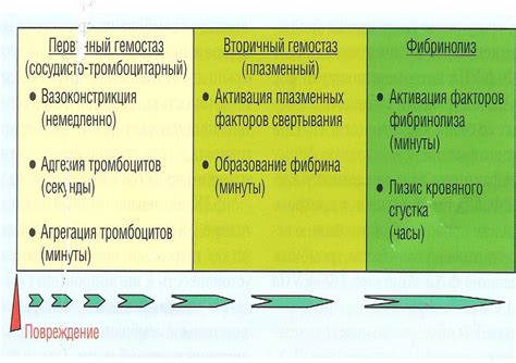 Лекция 4. Гемостаз