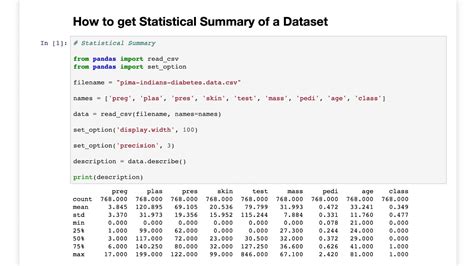 How To Get Statistical Summary Of A Dataset Jupyter Notebook Python