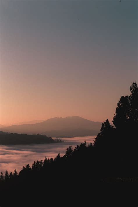 Mountains Forest Fog Dusk Outlines HD Phone Wallpaper Peakpx