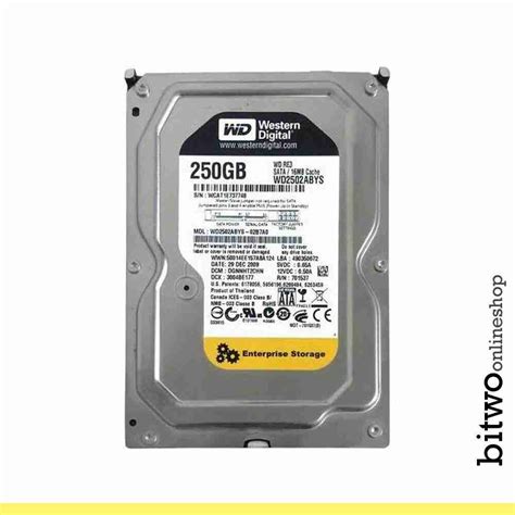 WD Western Digital Enterprise Storage hard disk HDD 250gb 3,5" per PC ...