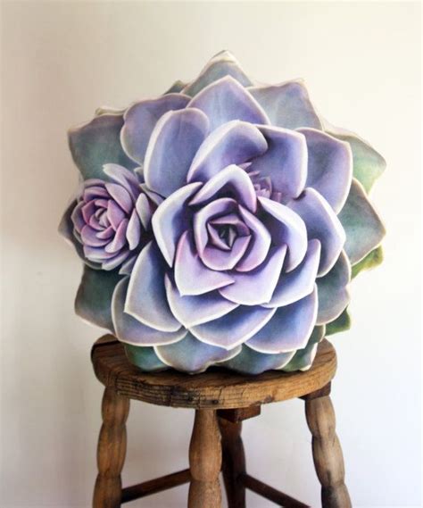 Succulent Pillow Echeveria Pvn Perle Von N Rnberg Etsy Almohadas De