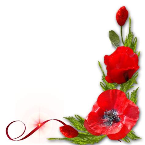 Flower Png Images Flower Frame Flowers