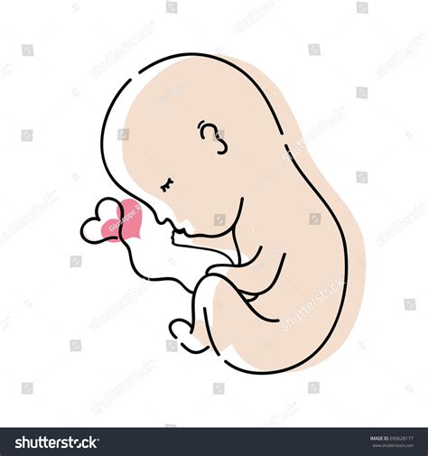 New Life Baby Umbilical Cord Stock Vector Royalty Free 690628177
