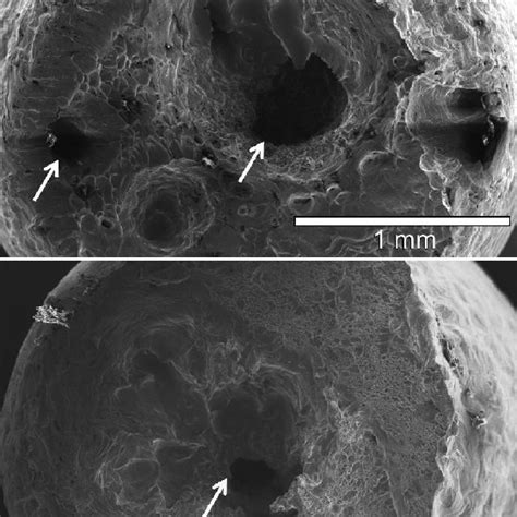 A Scanning Electron Microscope SEM Images Of The Fractured Surface Of