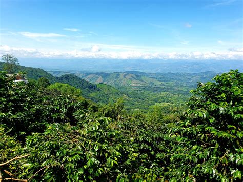 Colombia Entry Requirements: Visa, Passport & Travel Rules 2025