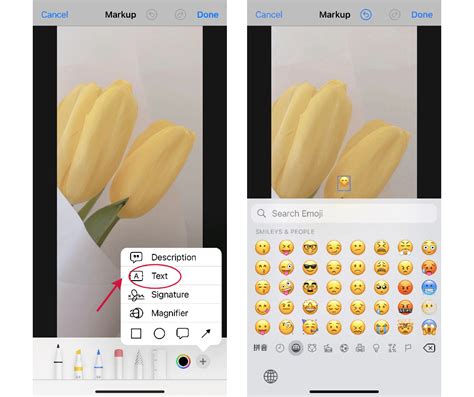 How To Add Emoji To Photo 4 Easiest Ways To Make Your Photos Interesting