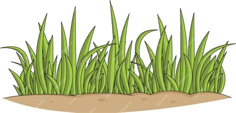 Premium Vector Grass Vector Illustration In An Isolated Background