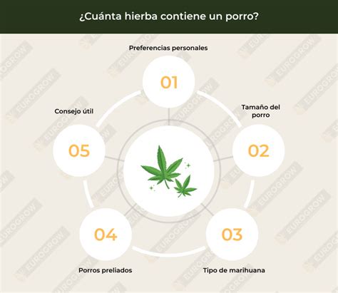 Medidas Marihuana Rangos De Pesos Precios Y Consejos