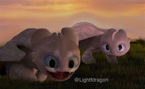 Pin By Httyd Toothless On Httyd 3 Toothless And Light Fury How Train