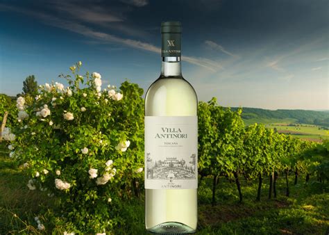 Villa Antinori Bianco IGT 2021 | Weißwein | Weine aus Toskana | Weine ...