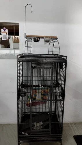 Macaw Bird Cage at ₹ 14000/piece | Bird Cage in Ernakulam | ID: 27300211291