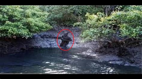 Dogman Stalks Two Louisiana Fisherman