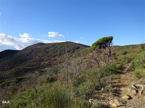 Punta Di Vegliasco Monte Bignone L Appenninista