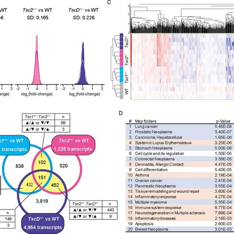 Rapamycin Induced Changes In Gene Expression In The Brain In Tsc