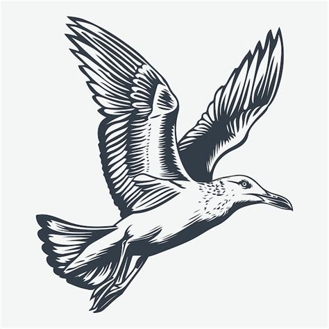 Premium Vector Seagull Bird Woodcut Drawing Vector