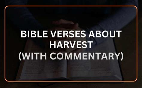 Important Bible Verses About Harvest With Commentary Scripture