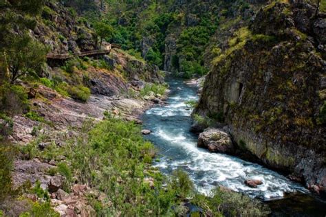 Excursión a los Pasadizos del Paiva desde Oporto Puente 516 Arouca