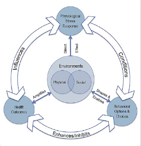 Environmental Effects On Human Behaviors And Health Download Scientific Diagram