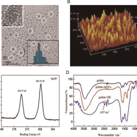 The Morphology And Composition Characterization Of Gelatin Agncs A