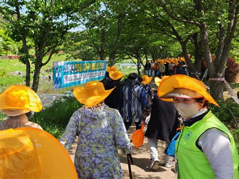 2024년 한마음 치매극복·생명사랑 걷기행사 성황리에 마치다 거제타임라인