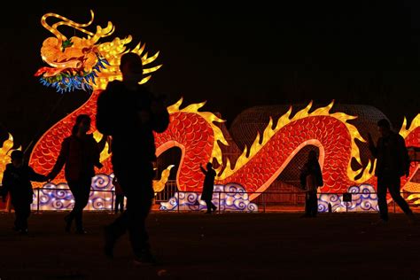 Dragon Is Latest Meme Stock Craze in China on Zodiac Year Hopes - Bloomberg