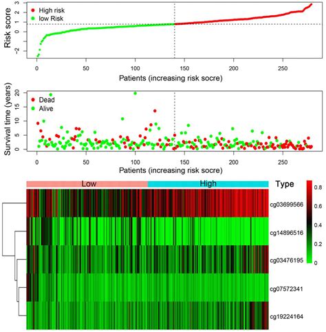 Molecular Subtypes Based On Dna Promoter Methylation Predict Prognosis