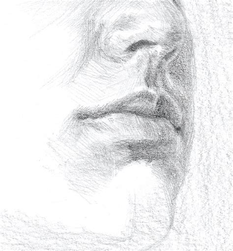 How To Draw A Portrait In Pencil Artists And Illustrators