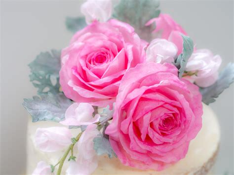 Semi Naked Cake Tutorial Mit Hinweisen Zu Echten Blumen Ofenkieker