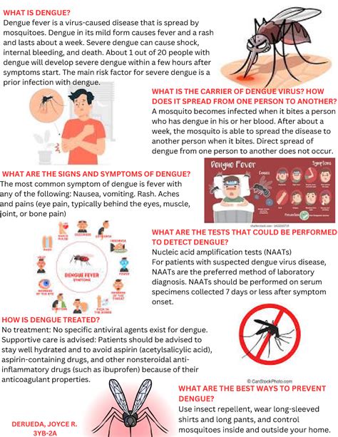 Dengue Infographics What Is Dengue Dengue Fever Is A Virus Caused