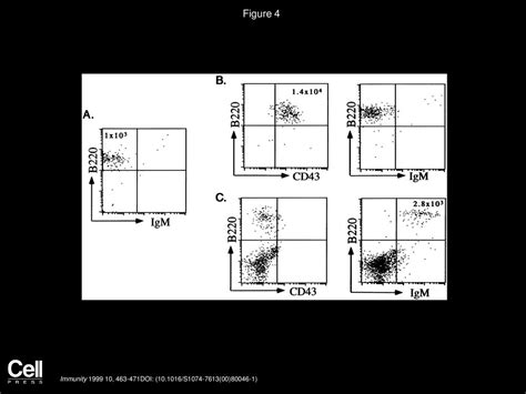 The Chemokine Receptor Cxcr4 Is Required For The Retention Of B Lineage And Granulocytic