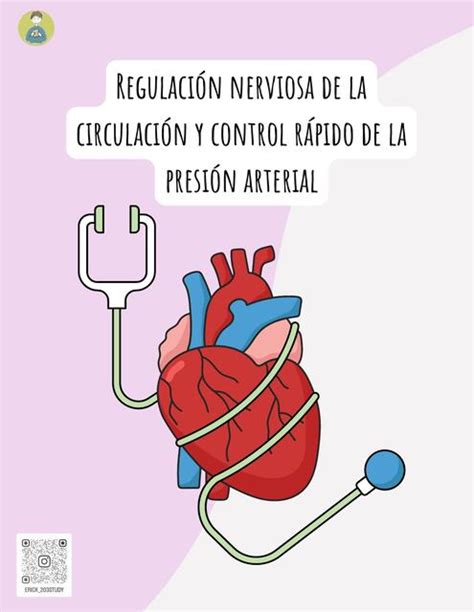 Regulación Nerviosa De La Circulación Y Control Rápido De La Presión Arterial Erick Gómez Udocz