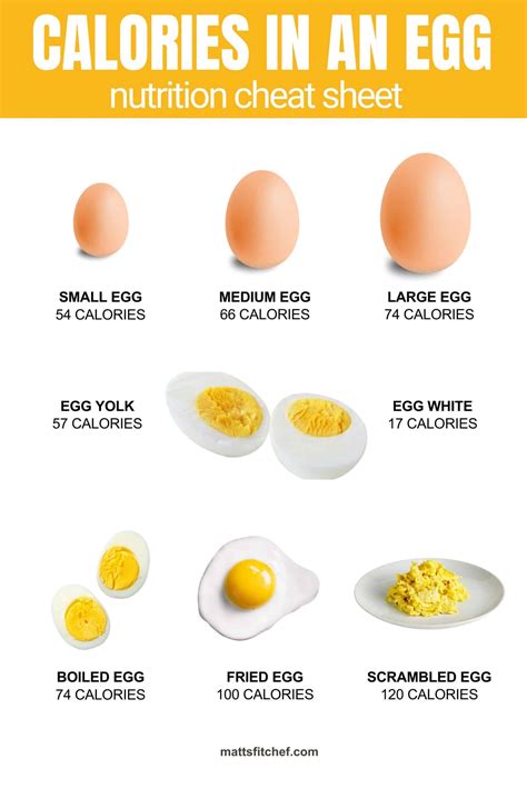 How Many Calories In An Egg