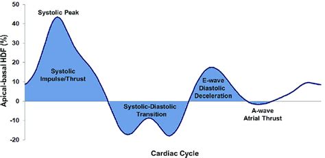 Left Ventricular Hemodynamic Force In Apical Basal Direction The Graph