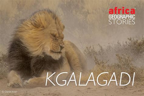 KGALAGADI - Africa Geographic