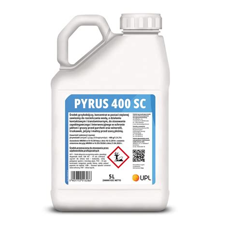 Pyrus 5L Cena Opinie Superplony Pl