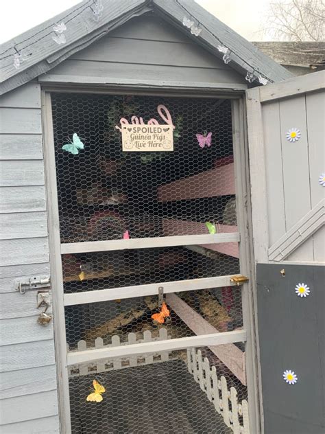 Guinea Pig Shed Guinea Pigs Guinea Pig House Diy Guinea Pig Cage