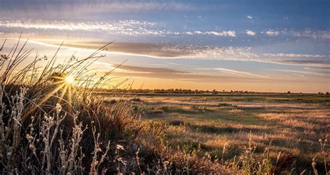 Galt, California: Experience the Charms of Small-Town Living