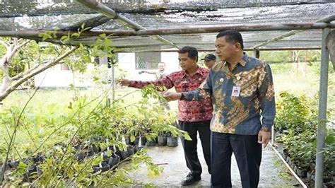 Pj Bupati Landak Gutmen Nainggolan Tinjau UPTD Balai Benih Hortikultura