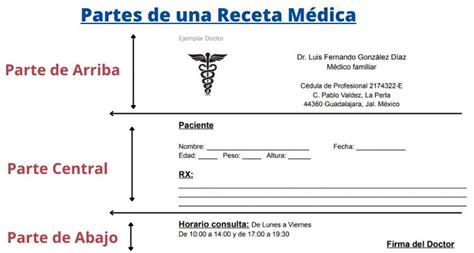 Partes De La Receta Medica Images Nbkomputer