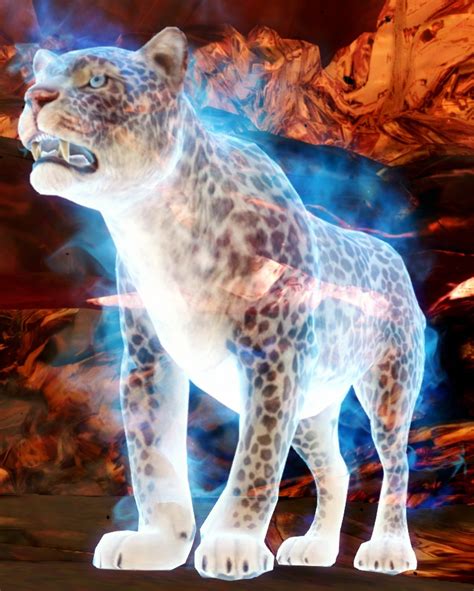 Snow Leopard Warrior